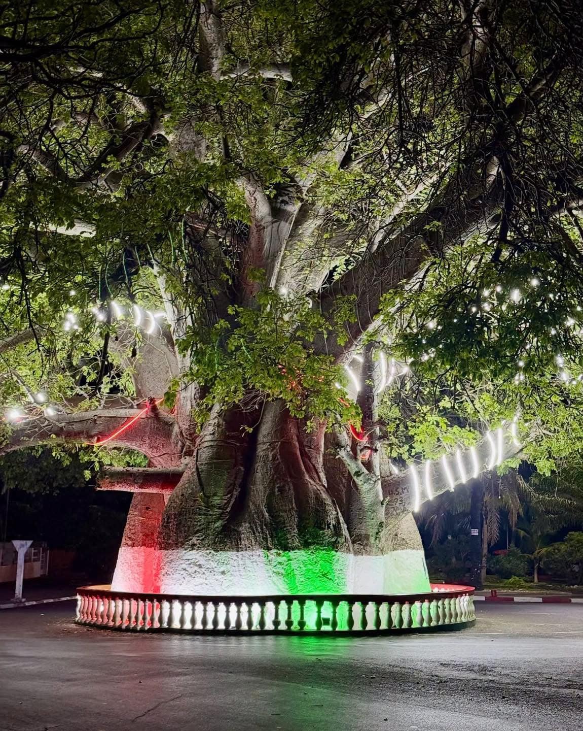 Le Grand Baobab
